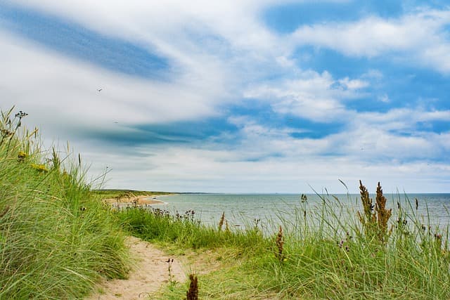 Beach in Aberdeen